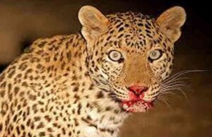 เชเซเชจเชพเชเชขเชฎเชพเช 7 เชตเชฐเซเชทเชจเซ เชฎเชพเชธเซเชฎ เชฌเชพเชณเชเซเชจเซ เชเซเชเชเชพเชฐ เชฆเซเชชเชกเซ เชเชชเชพเชกเซ เชเชฏเซ