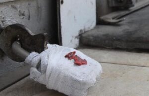 เชญเชฐเซเช เช
เชจเซ เช
เชเชเชฒเซเชถเซเชตเชฐเชฎเชพเช เชซเชพเชฏเชฐ เชธเซเชซเซเชเซ เชตเชฟเชจเชพเชจเซ 6 เชเซเชฎเชฐเซเชถเชฟเชฏเชฒ เชฌเชฟเชฒเซเชกเซเชเช เช
เชจเซ 11 เชฆเซเชเชพเชจเซ เชธเซเชฒ เชเชฐเชพเช