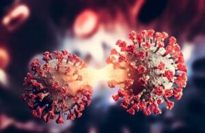 เชเซเชฒเซเชฒเชพ เชธเชพเชค เชฆเชฟเชตเชธเชฎเชพเช เชฆเซเชจเชฟเชฏเชพเชญเชฐเชฎเชพเช เชเซเชฐเซเชจเชพ เชตเชฟเชธเซเชซเซเช, เซฉเซฆ เชฒเชพเชเชฅเซ เชตเชงเซ เชเซเชธ, เซงเซฆ,เซฆเซฆเซฆเชจเชพเช เชฎเซเชค เชฅเชฏเชพ