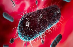 เช
เชฎเซเชฐเชฟเชเชพเชฎเชพเช เชเชกเชชเชฅเซ เชซเซเชฒเชพเช เชฐเชนเซเชฒเชพ เชธเซเชชเชฐเชฌเชเซ เชฌเซเชเซเชเซเชฐเชฟเชฏเชพเช เชธเชฎเชเซเชฐ เชฆเซเชจเชฟเชฏเชพเชจเซ เชซเชฐเซ เชเชเชตเชพเชฐ เชเชฟเชเชคเชพเชฎเชพเช เชฎเซเชเซ