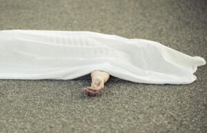 เชฐเชพเชชเชฐเชจเชพ เชฎเซเชฎเชพเชเชฏเชฎเซเชฐเชพ เชเชพเชฎเชจเชพ เชธเชเซเชฐเชจเซ เชฎเซเชคเชฆเซเชน เชเซเชฅเชพ เชฆเชฟเชตเชธเซ เชเซเชจเชพเชฒเชฎเชพเชเชฅเซ เชคเชฐเชคเซ เชนเชพเชฒเชคเชฎเชพเช เชฎเชณเซ เชเชตเซเชฏเซ