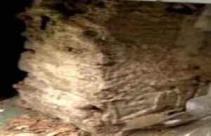 เชฌเซเชจเซเชเชจเชพ เชฒเซเชเชฐเชฎเชพเช เชฐเชพเชเซเชฒเชพ เชจเซเชเซเชจเชพ เชฌเชเชกเชฒ เชเชพเช เชเช เชเชงเช, เชเซเชฐเชพเชนเชเซ เชฌเซเชจเซเชเชจเซ เชฎเชพเชฅเซ เชฒเช เชฒเซเชงเซ