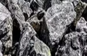 เชเชฎเซเชฎเซ-เชเชพเชถเซเชฎเซเชฐเชจเชพ เชฐเชฟเชฏเชพเชธเซเชฎเชพเช เชฎเชณเซเชฒเชพ เชฒเซเชฅเชฟเชฏเชฎ เชตเชฟเชทเซ เชตเชฐเชฟเชทเซเช เชธเชฐเชเชพเชฐเซ เช
เชงเชฟเชเชพเชฐเซเช เชเชฃเชพเชตเซเชฏเซ เชเซ โเชเซเชฃเชตเชคเซเชคเชพ เชธเชพเชฐเซ เชเซ เช
เชจเซ เชญเชพเชฐเชค เชเชจเชพเชฅเซ เชเซเชจเชจเซ เชนเชฐเชพเชตเชถเซโ