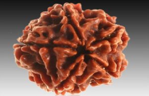 เชฐเซเชฆเซเชฐเชพเชเซเชทเชจเซเช เชฎเชนเชคเซเชต, เชญเชเชตเชพเชจ เชถเชฟเชต เชจเซ เชชเซเชเชพ-เช
เชฐเซเชเชจเชพ เชฎเชพเชย เชฐเซเชฆเซเชฐเชพเชเซเชท เชถเซเชฐเซเชทเซเช เช
เชจเซ เชฐเซเชฆเซเชฐเชพเชเซเชท เชงเชพเชฐเชฃ เชเชฐเชตเชพเชจเชพเช เชซเชพเชฏเชฆเชพเช ..ย