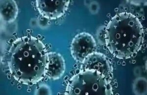 เชญเชพเชฐเชคเชฎเชพเช เชนเชพเชฒ เชคเชฎเชพเชฎ เชชเซเชฐเชเชพเชฐเชจเชพ เชซเซเชฒเซ เชเชกเชชเชฅเซ เชตเชงเซ เชฐเชนเซเชฏเชพ เชเซ เชคเซเชฏเชพเช เชเชฐเซ เชเซ เชเซเชฐเซเชจเชพ เชตเชพเชฏเชฐเชธเซ เชตเชพเชชเชธเซ