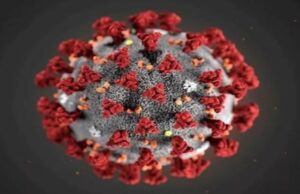 เชเซเชฒเซเชฒเชพ เซจเซช เชเชฒเชพเชเชฎเชพเช เชฆเซเชถเชญเชฐเชฎเชพเช เชเซเชฐเซเชจเชพเชจเชพ เซซเซฆเซฆเซฆเชฅเซ เชตเชงเซ เชจเชตเชพ เชเซเชธ เชจเซเชเชงเชพเชฏเชพ, เซงเซจ เชฒเซเชเซเชจเชพ เชฅเชฏเชพ เชฎเซเชค