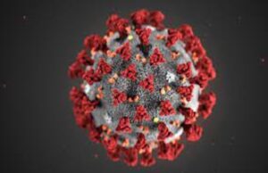 เชฆเชฟเชฒเซเชนเซเชจเซ เช
เชกเซเชจเซ เชชเชถเซเชเชฟเชฎ เชฏเซเชชเซเชฎเชพเช เชเซเชฐเซเชจเชพเชจเชพ เชเซเชธเชฎเชพเช เชตเชงเชพเชฐเซ, เซจเซฆเซฌเชฅเซ เชชเชฃ เชตเชงเซ เชเชเซเชเซเชต เชเซเชธเซ