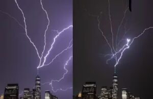 เชจเซเชฏเซเชฏเซเชฐเซเชเชฎเชพเช เชตเชจ เชตเชฐเซเชฒเซเชก เชเซเชฐเซเชก เชธเซเชจเซเชเชฐ เชชเชฐ เชตเซเชเชณเซ เชชเชกเซ, เชเชพเซเชตเชพ เชฎเชณเซเชฏเซ เช
เชฆเซเชญเซเชค เชจเชเชพเชฐเซ., เชเซเชจเซ เชเชฐเซ เชฆเซเชงเซเช เชเซเชฎเซเชฐเชพเชฎเชพเช เชเซเชฆ