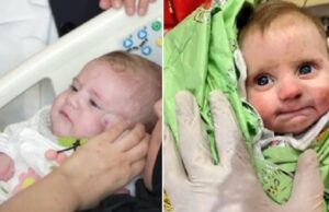 เชคเซเชฐเซเชเซเชฎเชพเช เชเชตเซเชฒเชพ เชญเซเชทเชฃ เชญเซเชเชเชชเชฎเชพเช เซซ เชฆเชฟเชตเชธ เชธเซเชงเซ เชเชพเชเชฎเชพเชณเชฎเชพเช เชฆเชเชพเช เชฐเชนเซเชฒเชพ เชฌเชพเชณเชเชจเซ เชฎเชพเชคเชพ เชธเชพเชฅเซ เซซเซช เชฆเชฟเชตเชธ เชฌเชพเชฆ เชฅเชฏเซเช เชฎเชฟเชฒเชจ