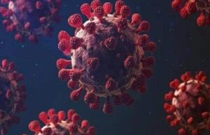 เชฒเซเชเซเชฎเชพเช เชตเชพเชฐเชเชตเชพเชฐ เชเซเชตเชฟเชก เชฅเชฏเชพ เชฌเชพเชฆ เชกเซเชเซเชเชฐเซเช เชเซเชคเชตเชฃเซ เชเชชเซ, เชกเซเชเชเชฐเซเชจเซเช เชเชนเซเชตเซเช เชเซ เชเซ ‘เชธเซเชตเชพเชธเซเชฅเซเชฏ เชชเชฐ เชชเซเชฐเชคเชฟเชเซเชณ เช
เชธเชฐเซเชจเซเช เชตเชงเชพเชฐเชพเชจเซเช เชเชพเซเชเชฎ’