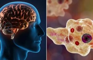 เชเซเชฐเชณเชฎเชพเช เช
เชฎเซเชฌเชพเช เชเช เชเชฟเชถเซเชฐเชจเซเช เชฎเชเช เชเชพเช เชเชคเชพ เชฎเซเชค