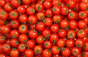 เชเชพเชฎเซเชเชพเชจเชพ เชธเชคเชค เชตเชงเชคเชพ เชเชคเชพ เชญเชพเชตเชฅเซ เชเซเชนเชฟเชฃเซเชเชจเซเช เชเซเชฐเชตเชพเช เชเชถเซ เชฌเชเซเช