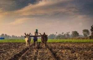 เชฆเซเชงเช เชธเชฌ เชฌเซเชฐเชพเชจเซเช เชเซเชจเชพเชฒเชจเชพ เชจเชฟเชฐเซเชฎเชพเชฃ เชฎเชพเชเซ เชเซเชกเซเชคเซ เชนเชตเซ เชฒเชกเซ เชฒเซเชตเชพเชจเชพเช เชฎเซเชกเชฎเชพเช, 28เชฎเซ เชจเชตเซเชฎเซเชฌเชฐ เชฌเชพเชฆ เชเชฟเชฒเซเชฒเชพ เชธเซเชคเชฐเซ 25 เชฅเซ 40 เชนเชเชพเชฐ เชเซเชกเซเชคเซ เช
เชจเซ เชฒเซเชเซ เชญเซเชเชพ เชฅเชเชจเซ เชเชเซเชฐ เชเชเชฆเซเชฒเชจ เชเชฐเชถเซ