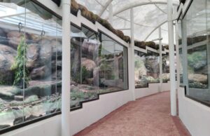 เชธเซเชเซเชเซเชฏเซ เชเชซ เชฏเซเชจเชฟเชเซเชจเชพเช เชธเซเชจเซเช เชนเชพเชเชธเชฎเชพเช เชฆเซเชถ เชตเชฟเชฆเซเชถเชจเชพ เชเซเชฐเซ เชฌเซเชจ เชเซเชฐเซ เชธเชพเชช เชฎเซเชเชตเชพเชฎเชพเช เชเชตเซเชฏเชพ