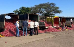 เชกเซเชเชเชณเซเชจเซ เชเชตเชเชฎเชพเช เชเชเชพเชกเซ, เชญเชพเชตเชฎเชพเช เชตเชงเชพเชฐเซ, เชเซ เชกเซเชเชเชณเซ 30-40 เชฐเซเชชเชฟเชฏเชพ เชเชฟเชฒเซ เชฎเชณเซ เชฐเชนเซ เชนเชคเซ เชคเซ เชนเชพเชฒ 60-80 เชฐเซเชชเชฟเชฏเชพ เชเชฟเชฒเซ เชฎเชณเซ เชฐเชนเซ เชเซ