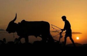 เชฐเชพเชเซเชฏ เชฌเชนเชพเชฐ เชเซเชกเซเชค เชคเชพเชฒเซเชฎ เชฎเซเชณเชตเชตเชพ เชฎเชพเชเซ เชเชพเชเชงเซเชจเชเชฐ เชเชฟเชฒเซเชฒเชพเชจเชพ เชเซเชกเซเชคเซเชจเซ เชธเชพเชงเชจเชฟเช เชเชพเชเชณเซ เชเชเซเชฐเซ เชเชพเชคเซ เชชเชนเซเชเชเชคเชพ เชเชฐเชตเชพ เชฌเชพเชฌเชค