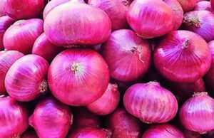 เชกเซเชเชเชณเซเชจเชพ เชญเชพเชต เชเชเชพเชกเชตเชพ เชธเชฐเชเชพเชฐ เชชเซเชฒเชพเชจ เชเชกเชถเซ, เชกเซเชเชเชณเซเชจเซ เชจเชฟเชเชพเชธ เชเชฟเชเชฎเชค เชชเซเชฐเชคเชฟ เชเชจ 800 เชกเซเชฒเชฐ เชเชพเชนเซเชฐ เชเชฐเชตเชพเชจเซ เชจเชฟเชฐเซเชฃเชฏ เชฒเซเชงเซ