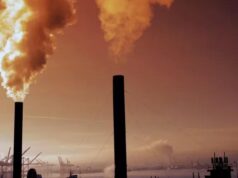 પાકિસ્તાનના લાહોરમાં પ્રદૂષણના કારણે હાલત ખરાબ, સ્મોગ ઈમરજન્સી લગાવી દેવાઈ