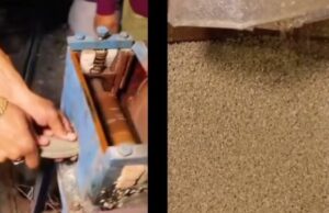 เชชเซเชฒเชพเชธเซเชเชฟเชเชจเชพ เชเชเชฐเชพเชฅเซ เชฌเชจเซเชฒเชพ เชเชเช เช
เชจเซ เชเซเชเชพ เชฌเชจเชคเชพเชจเซ เชตเชฟเชกเซเชฏเซ เชตเชพเชฏเซเชตเซเชเซ เชตเชพเชเชฐเชฒ, เชเชฃเซ เชจเซเชฏเซเช เชเชเชจเซเชธเซเช เช
เชจเซ เชฏเซเชเซเชฏเซเชฌเชฐเซเชธเซ เชเชนเซเชฏเซเช เชเซ,”เช เชตเซเชกเชฟเชฏเซ เชเซเชเซ เชเซ เช เชฎเชถเซเชจเซเชฅเซ เชเชเช เชเซ เชเซเชเชพเชจเชพ เชฆเชพเชฃเชพ เชฌเชจเชพเชตเซ เชถเชเชพเชคเชพ เชจเชฅเซ”