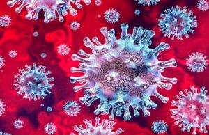 เชตเชฒเชธเชพเชก เชเชฟเชฒเซเชฒเชพเชฎเชพเช เชเซเชฐเซเชจเชพเชจเซ เชเซเชธ เชจเซเชเชงเชพเชคเชพ เชธเชฐเชเชพเชฐเซ เชคเชเชคเซเชฐ เชฆเซเชกเชคเซเช เชฅเชฏเซเช