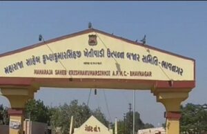 เชคเชนเซเชตเชพเชฐเชจเชพเช เชเชพเชฃเซ เช เชเซเชกเซเชคเซ เชฎเซเชถเซเชเซเชฒเซเชฎเชพเช เชฎเซเชเชพเชฏเชพ เชฏเชพเชฐเซเชกเชฎเชพเช เชฎเชเชซเชณเซเชจเซ เชญเชฐเชพเชตเซ, เชเซเชกเซเชคเซเชจเซ เชฆเชฟเชตเชพเชณเซ เชชเชเซ เชเชตเชตเชพเช เชธเซเชเชจเชพ เช
เชชเชพเช