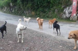 เชธเซเชฐเชคเชฎเชพเช เชฐเชเชกเชคเชพ เชถเซเชตเชพเชจเชจเชพ เชเชพเชฐเชฃเซ เชฐเซเชเซเชทเชพ เชชเชฒเชเซ เชฎเชพเชฐเซ เชเชคเชพ เชเช เชชเชฐเชฟเชตเชพเชฐ 4 เชฒเซเชเซเชจเซ เชเชเชพ