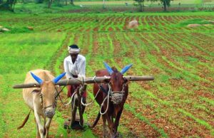 เชเชพเชเชงเซเชจเชเชฐ เชเชฟเชฒเซเชฒเชพเชจเชพ เชฌเชพเชเชพเชฏเชคเชฆเชพเชฐ เชเซเชกเซเชคเซเชจเซ เช
เชจเซเชฏ เชฐเชพเชเชฏเชฎเชพเช เชเชตเซเชฒเซ เชญเชพเชฐเชคเซเชฏ เชเซเชทเชฟ เช
เชจเซเชทเชเชงเชพเชจ เชชเชฐเชฟเชทเชฆเชจเซ เชชเซเชฐเชคเชฟเชทเซเช เชฟเชค เชธเชเชธเซเชฅเชพเชเชฎเชพเช เชคเชพเชฒเซเชฎ เชเชชเชตเชพเชจเซเช เชเชฏเซเชเชจ